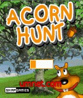 game pic for Acorn Hunt